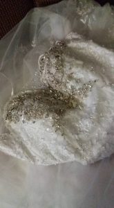 458939007-1857474941385713-1303915333430709071-n